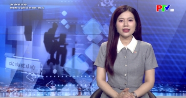 Các vấn đề xã hội: Mô hình tự quản về an ninh xã hội