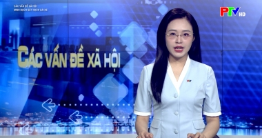 Các vấn đề xã hội - Minh bạch sát hạch lái xe
