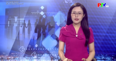 Các vấn đề xã hội - Mùa hè trong thời đại số