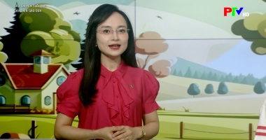 Câu chuyện tuổi thơ - Chiếc chén gáo dừa