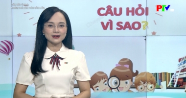 Dành cho thiếu nhi – Câu hỏi vì sao: Khám phá những hòn đảo lớn