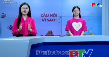 Câu hỏi vì sao - Bí mật của tắc kè