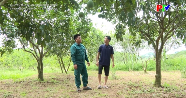 Chân dung cuộc sống - Chiến sỹ sao vuông làm kinh tế giỏi