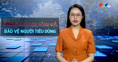 Chống buôn lậu hàng giả, bảo vệ người tiêu dùng ngày 23-4-2026