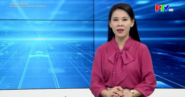 Chuyên đề khoa giáo - Giáo dục thể chất để nâng cao tầm vóc Việt