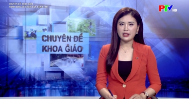 Chuyên đề khoa giáo: Hành động để chấm dứt bệnh lao