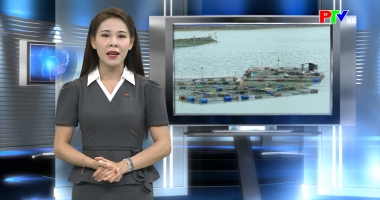 Chuyên đề khoa giáo: Thủy sản vùng lòng hồ - Tiềm năng thúc đẩy phát triển kinh tế nông thôn