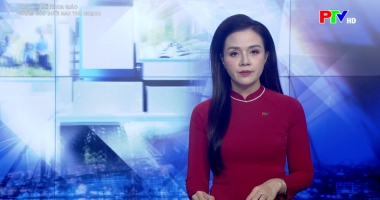 Chuyên đề khoa giáo - Chăm sóc bưởi sau thu hoạch