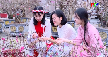 Chuyên đề khoa giáo: Khi thú chơi hoa Tết thay đổi