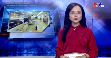 Công nghệ và chuyển đổi số: Tưới nhỏ giọt - thay đổi cách làm nông