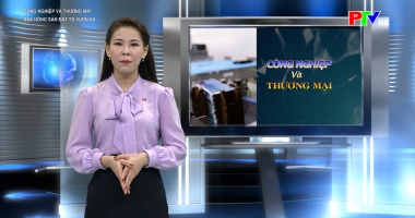 Công nghiệp và thương mại - Đưa nông sản đất Tổ vươn xa