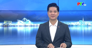 Cuộc sống thường ngày 04-02-2026