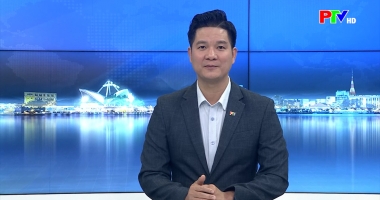 Cuộc sống thường ngày 11-02-2026