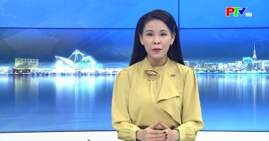 Cuộc sống thường ngày 12-03-2026