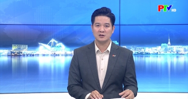 Cuộc sống thường ngày 7-4-3026