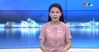 Cuộc sống thường ngày 11-4-3026