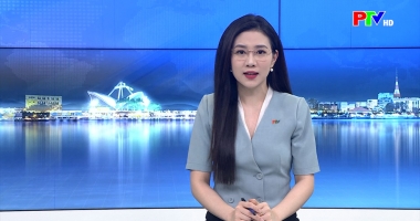 Cuộc sống thường ngày 19-4-3026