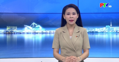 Cuộc sống thường ngày 23-4-3026