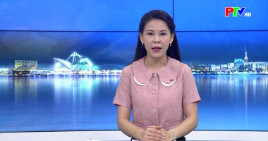 Cuộc sống thường ngày 02-05-3026