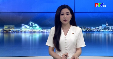 Cuộc sống thường ngày 13-05-2026