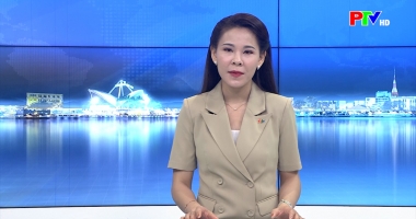 Cuộc sống thường ngày 02-06-2026