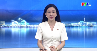 Cuộc sống thường ngày 08-06-2026