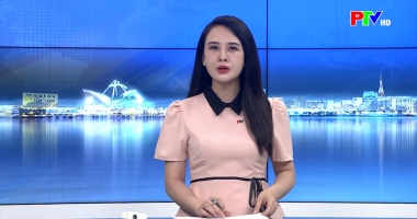 Cuộc sống thường ngày 01-07-2026