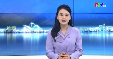 Cuộc sống thường ngày ngày 10-01-2026