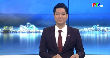 Cuộc sống thường ngày ngày 12-01-2026