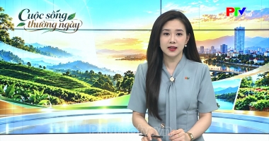 Cuộc sống thường ngày 29-10-2026