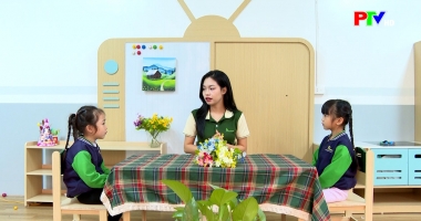 Dành cho thiếu nhi - 7 điều ước