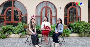 Dành cho thiếu nhi - Điều thú vị về cá heo