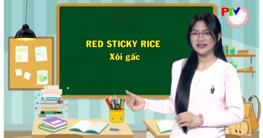 Dành cho thiếu nhi: Vui học tiếng Anh - Món ăn ngày Tết