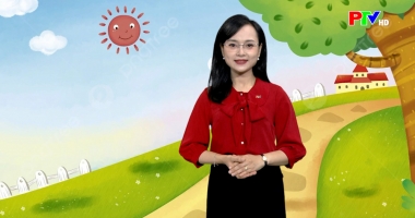 Dành cho thiếu nhi - Con cá vàng và nàng lãng quên