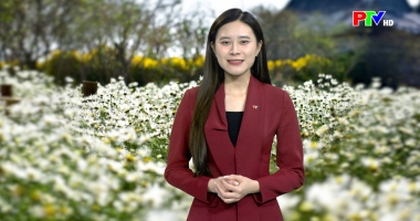 Đẹp cùng PTV - Phối đồ ngày đông