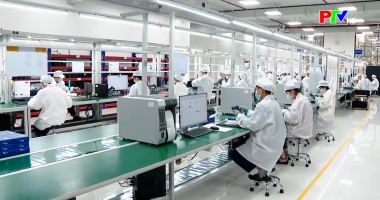 Phóng sự: Doanh nghiệp, doanh nhân đất Tổ - Kết nối giá trị, lan tỏa thịnh vượng