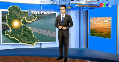 Dự báo thời tiết ngày 15-06-2026