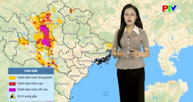 Dự báo thời tiết ngày 01-7-2026