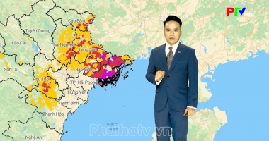 Dự báo thời tiết ngày 23-08-2026