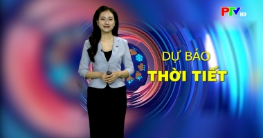 Dự báo thời tiết ngày 10-01-2026