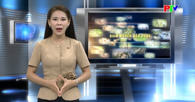 Giảm nghèo bền vững – Cuộc sống ấm no trên những đồi sơn xanh