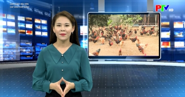 Giảm nghèo bền vững - Giúp nhau giảm nghèo