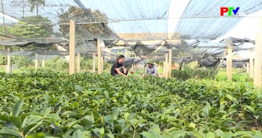 Giảm nghèo bền vững - Truyền thông hiệu quả, giảm nghèo bền vững