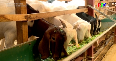 Giảm nghèo bền vững - Giảm nghèo từ đôi bàn tay