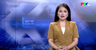 Hộp thư truyền hình ngày 13-9-2026