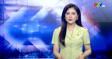 Hộp thư truyền hình ngày 19-4-2026