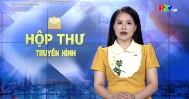 Hộp thư truyền hình ngày 28-06-2026