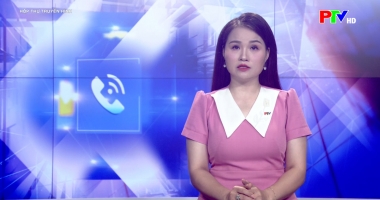 Hộp thư truyền hình ngày 12-07-2026