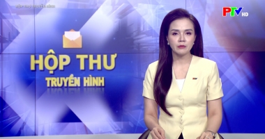 Hộp thư truyền hình ngày 26-07-2026