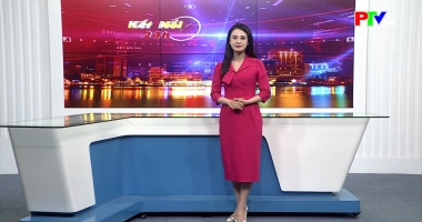 Kết nối 24h ngày 29-01-2026